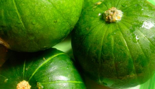 Zapallitos (1kg)