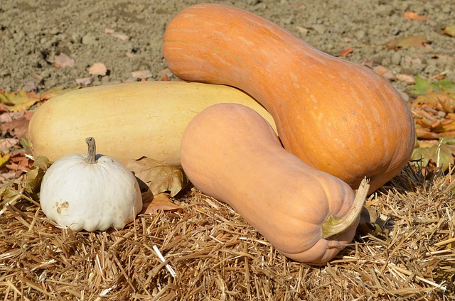 Zapallo anco (peso aprox) (1.5kg)