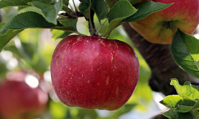 Manzana Roja (1kg)