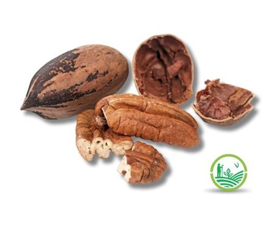 Nuez Pecan Con Cascara (500gr)