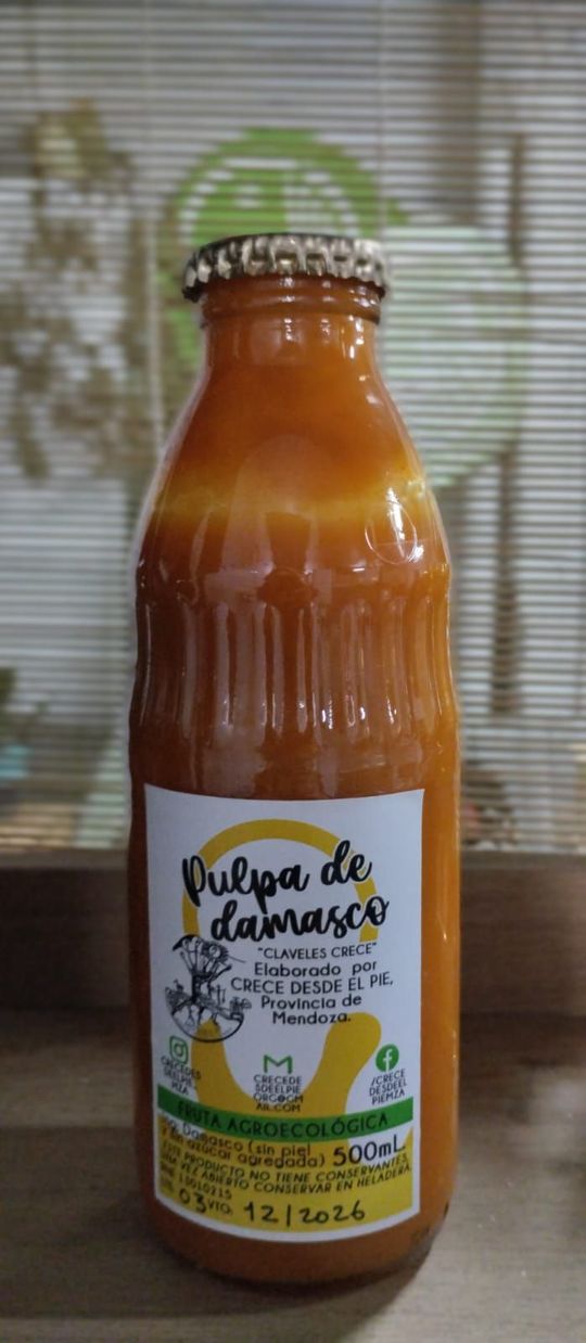 Pulpa Natural de Damasco (500cc)