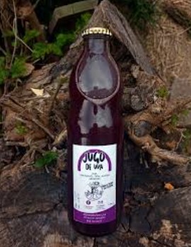 Jugo de uva (500cc)